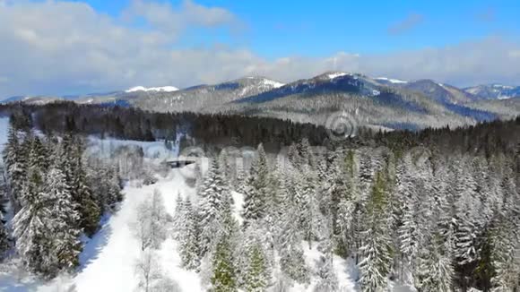 在晴朗的天气里满是雪的树木的山脉全景喀尔巴阡山脉的冬季景色视频的预览图
