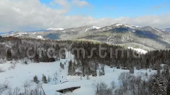 在晴朗的天气里满是雪的树木的山脉全景喀尔巴阡山脉的冬季景色视频的预览图
