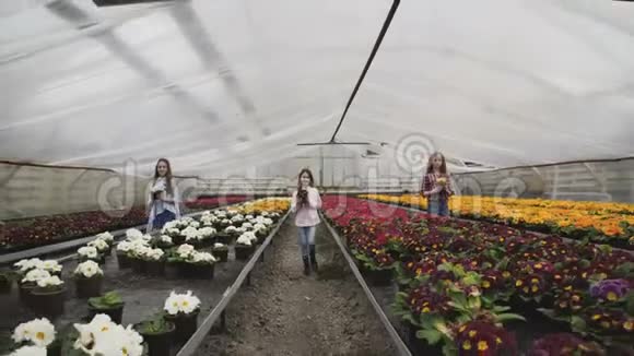 手里拿着花盆的三个女孩在花间同步行走视频的预览图
