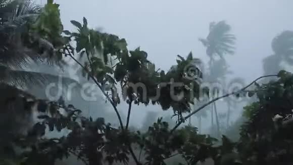 热带亚洲风暴及暴雨刮风视频的预览图