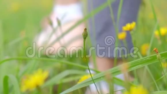 女人走在春天的草地上开着花双脚特写视频视频的预览图