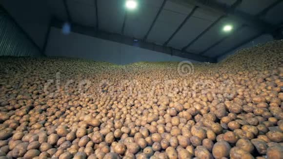 一个装满土豆的仓库关门视频的预览图