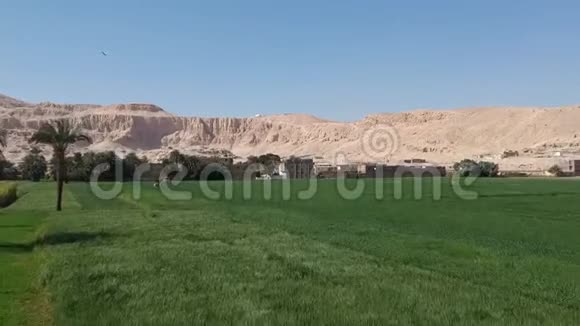 上埃及塔本的哈谢普苏特老殡仪馆录像视频的预览图