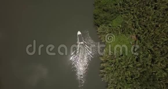 空中俯瞰小白船沿着美丽平静的丛林河航行阳光反射在雨林河岸附近视频的预览图