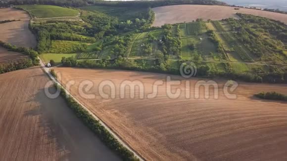 南摩拉维亚农村地区葡萄园的空中景观视频的预览图