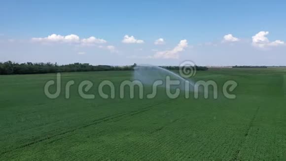 灌溉喷雾机灌溉耕地的气射视频的预览图