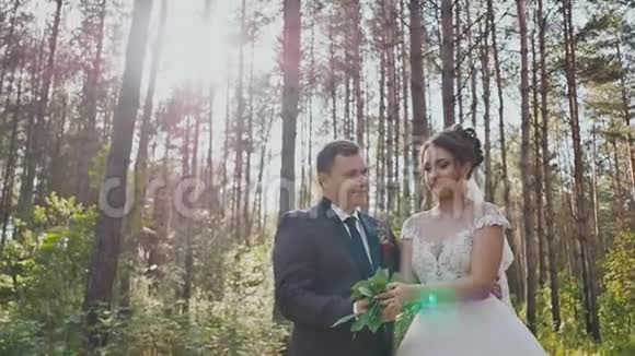 新娘和新郎在一片松林里他们把树叶扔到阳光下快乐的时刻视频的预览图