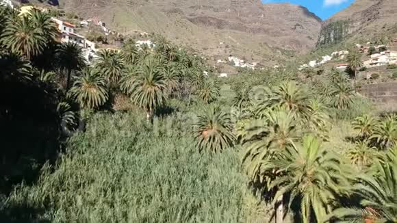 拉戈梅拉岛上的ValleGranRey镜头视频的预览图
