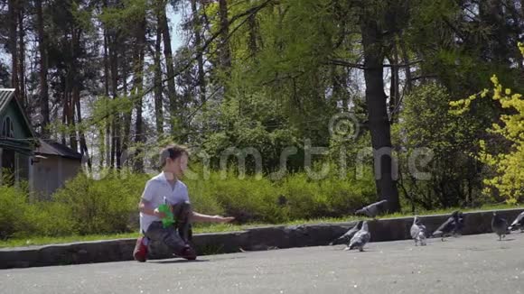 可爱的男孩在夏天公园喂鸽子视频的预览图