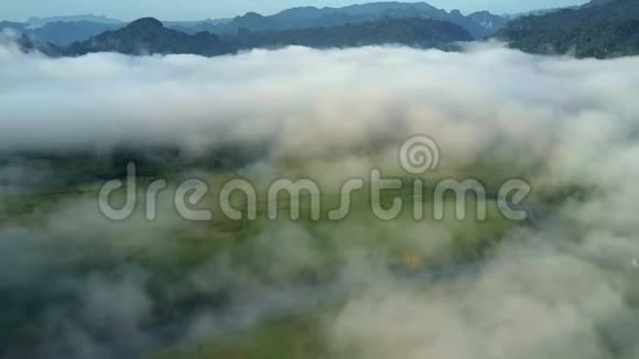 清晨的云层中绿色的山谷微微可见视频的预览图