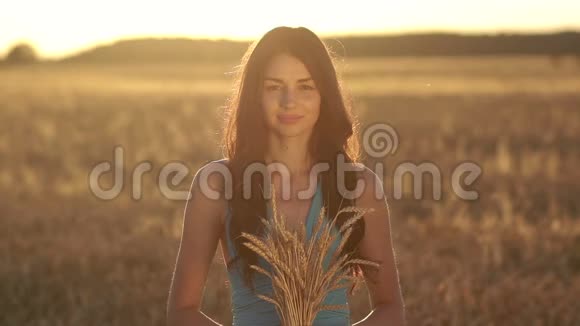 可爱的女孩把成熟的麦穗放在田间视频的预览图
