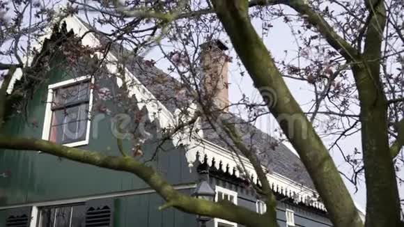 荷兰风格的乡村别墅视频的预览图