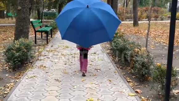 女孩子正在公园里的一把蓝色雨伞下散步视频的预览图