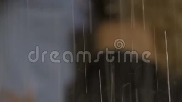 大雨倾盆情侣在后台拥抱晚上浪漫约会视频的预览图