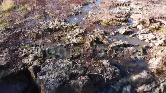水落在自然环境中视频的预览图