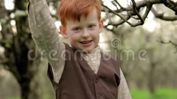 红头发的俄国男孩慢吞吞地在盛开的花园里吃苹果视频的预览图