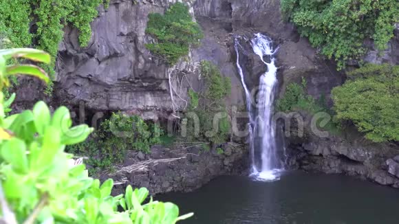 夏威夷毛伊岛的瀑布视频的预览图