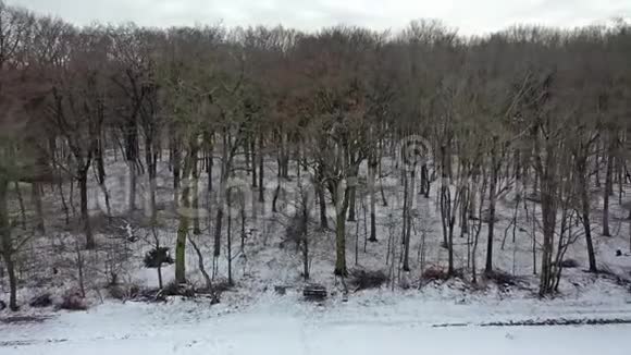 德国莫尔斯冬季森林劳尔斯福特的鸟瞰图视频的预览图
