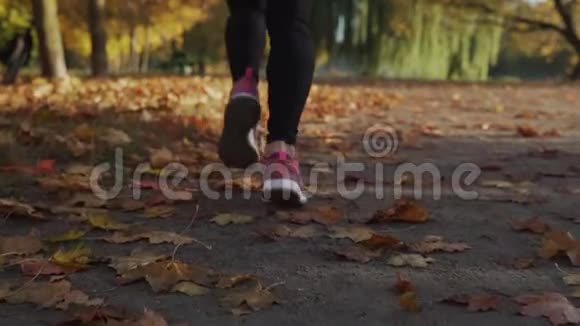 秋叶女子跑步运动员的近足训练锻炼理念视频的预览图