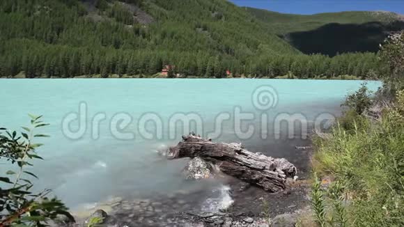 夏季早晨的高地湖俄罗斯阿尔泰山库赫林斯克耶湖视频的预览图