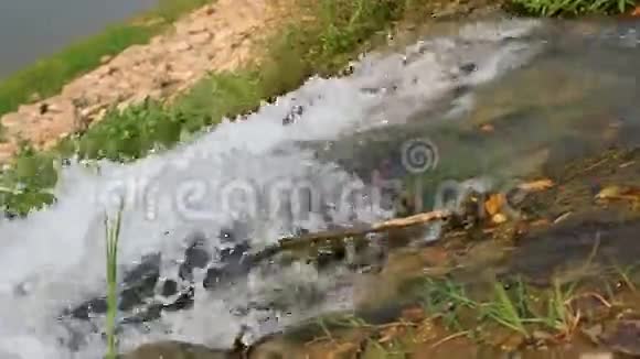 水掉了下来视频的预览图