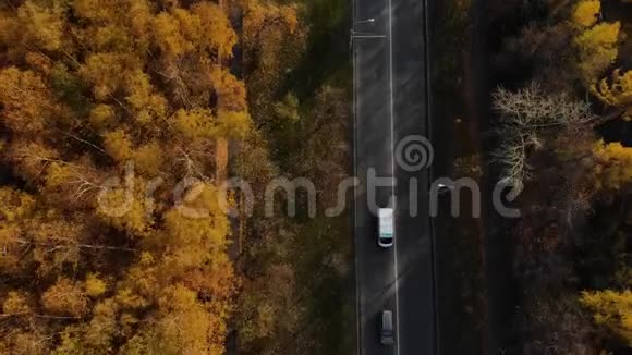 从鸟瞰秋树之间的汽车秋季市区内有汽车的道路鸟瞰图视频的预览图