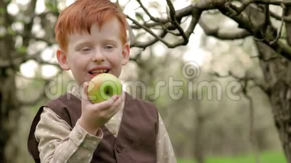 红发乡村男孩慢吞吞地在花园里吃一个新鲜苹果视频的预览图