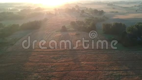 夏季的农田和小树林雾蒙蒙的早晨空中视频的预览图