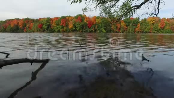 丹姆湖多伦多里士满山视频的预览图