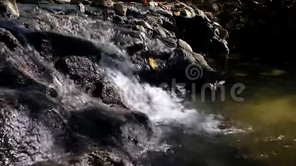 在丛林中用瀑布把潮湿的岩石封闭起来视频的预览图