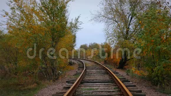 这条老铁路在秋树中视频的预览图