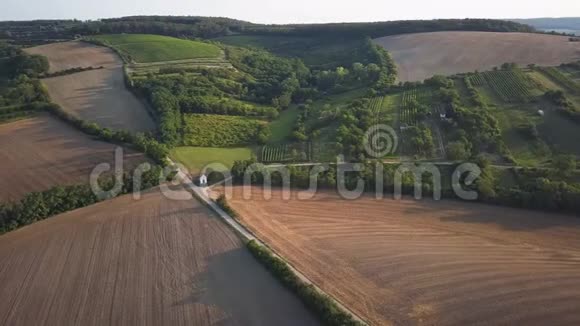 南摩拉维亚农村地区葡萄园的空中景观视频的预览图