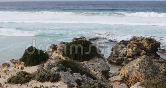 澳大利亚袋鼠岛威洛比角海岸线4K视频的预览图
