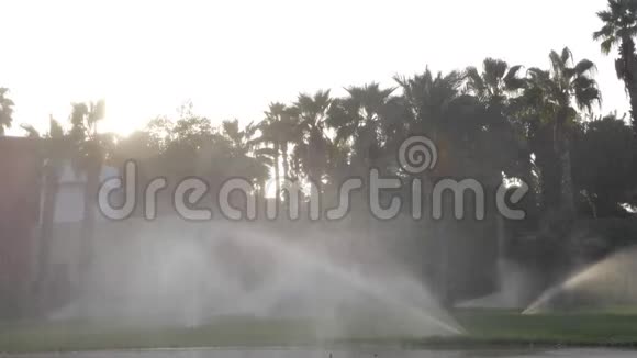酒店草坪上的灌溉系统视频的预览图