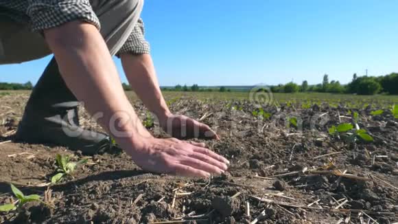 男农手拿着一把土用手指倒在地里年轻人在干的时候视频的预览图