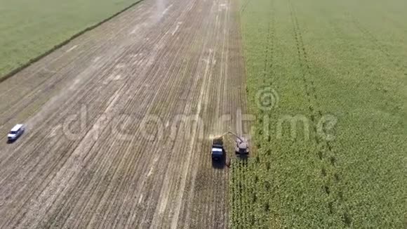 从空中从上到下拍摄的机器收获玉米视频的预览图