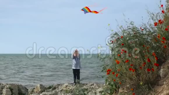 暑假快乐小男孩在海滩上放彩色风筝视频的预览图