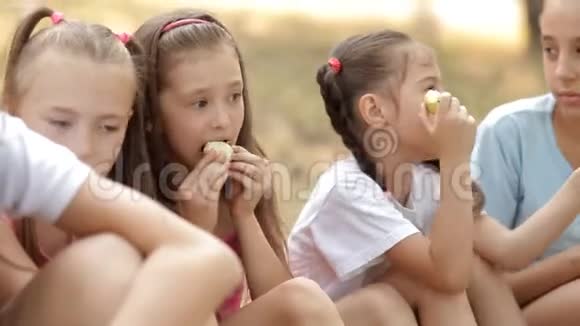 孩子们在大自然的草坪上玩得开心交流笑吃苹果视频的预览图
