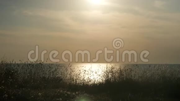 海滨的夏日日落小男孩手里拿着五颜六色的风筝朝太阳跑去视频的预览图