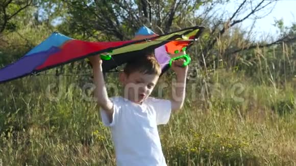 快乐的小男孩正举着一只五颜六色的风筝在他的头上游戏想象梦想的飞翔视频的预览图