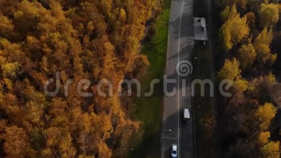 从鸟瞰秋树之间的汽车秋天在城市里用汽车俯瞰公路视频的预览图