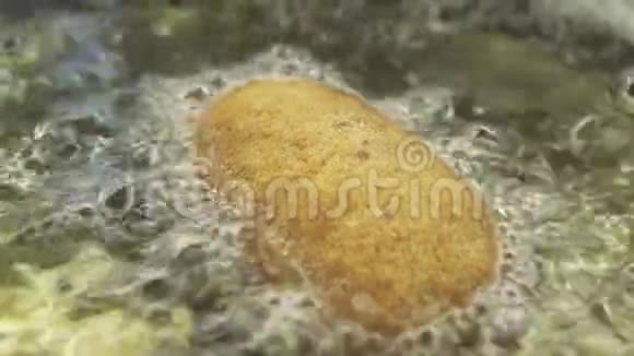 切子在葵花籽油中沸腾视频的预览图