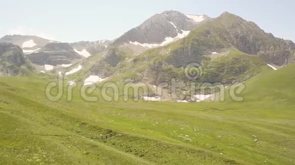 夏日风景徒步旅行者在山谷无人驾驶的绿色草地上漫步视频的预览图