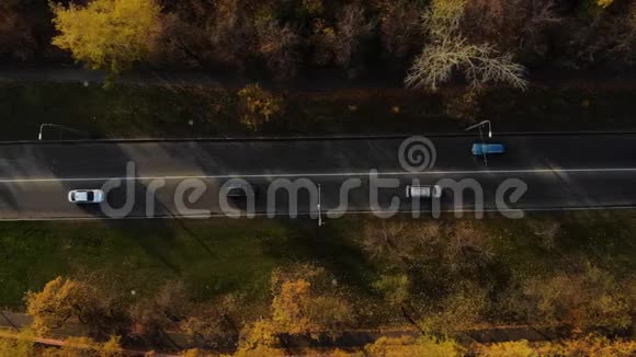 从鸟瞰秋树之间的汽车秋季市区内有汽车的道路鸟瞰图视频的预览图