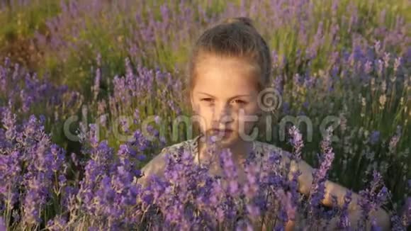 可爱的小女孩在大自然中扮演薰衣草灌木视频的预览图