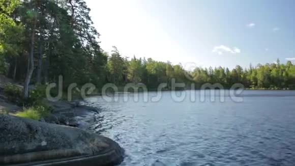 美丽的森林湖景色神奇美丽的斯堪的纳维亚自然高大的绿树湛蓝的湖水视频的预览图