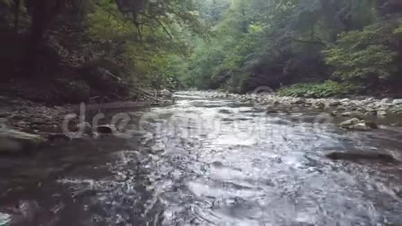 从空中飞人在夏季森林中流动的石河上进行空中射击视频的预览图