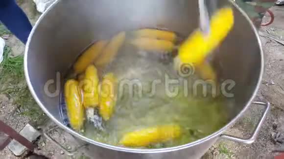 大锅煮玉米的工艺及转卖视频的预览图