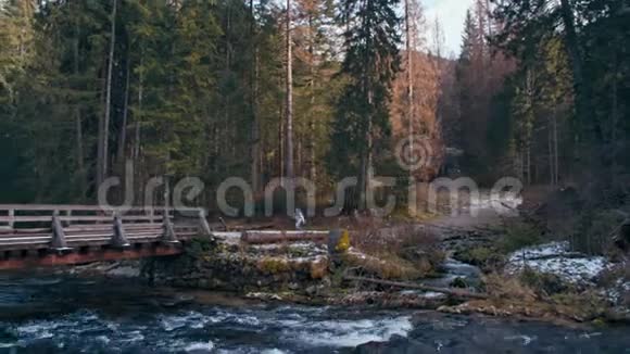 在秋天的森林里女孩正在穿过一条山河的大桥视频的预览图