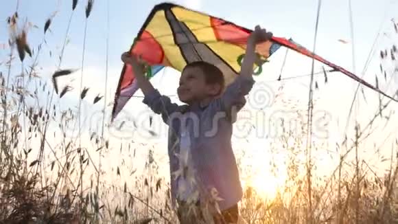 快乐的小男孩把五颜六色的风筝放在头顶上站在阳光照亮的草地上视频的预览图